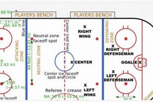 Ice Hockey Rink Size Guide: Regulation Specs & Dimensions Your Ultimate Source for Hockey Updates, Training Guides, and Equipment Recommendations Ice Hockey Rink Size Guide: Regulation Specs & Dimensions | Your Ultimate Source for Hockey Updates, Training Guides, and Equipment Recommendations