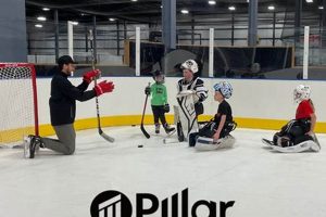 Elevate Your Game: Pillar Hockey Academy Training & Success Your Ultimate Source for Hockey Updates, Training Guides, and Equipment Recommendations Elevate Your Game: Pillar Hockey Academy Training & Success | Your Ultimate Source for Hockey Updates, Training Guides, and Equipment Recommendations