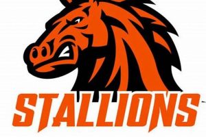 Strive Hockey: Stallions Hockey Team Guide & Info Hub Your Ultimate Source for Hockey Updates, Training Guides, and Equipment Recommendations Strive Hockey: Stallions Hockey Team Guide & Info Hub | Your Ultimate Source for Hockey Updates, Training Guides, and Equipment Recommendations