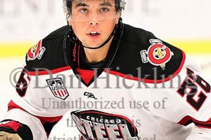 Michael Emerson Hockey: Skills, Stats & Legacy | Your Ultimate Source for Hockey Updates, Training Guides, and Equipment Recommendations