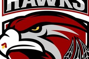 Your Guide to Haverford Hawks Ice Hockey Program Your Ultimate Source for Hockey Updates, Training Guides, and Equipment Recommendations Your Guide to Haverford Hawks Ice Hockey Program | Your Ultimate Source for Hockey Updates, Training Guides, and Equipment Recommendations