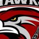 Your Guide to Haverford Hawks Ice Hockey Program | Your Ultimate Source for Hockey Updates, Training Guides, and Equipment Recommendations