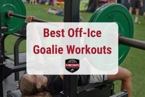 Elite Ice Hockey Goalie Workouts: Train Like a Pro! Your Ultimate Source for Hockey Updates, Training Guides, and Equipment Recommendations Elite Ice Hockey Goalie Workouts: Train Like a Pro! | Your Ultimate Source for Hockey Updates, Training Guides, and Equipment Recommendations