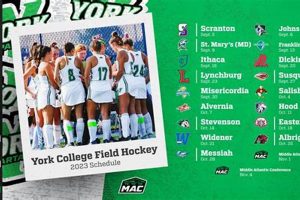 2024-2025 York Field Hockey Schedule: Game Times & Location Info Your Ultimate Source for Hockey Updates, Training Guides, and Equipment Recommendations 2024-2025 York Field Hockey Schedule: Game Times & Location Info | Your Ultimate Source for Hockey Updates, Training Guides, and Equipment Recommendations