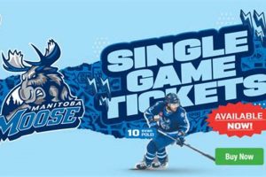 Get Manitoba Moose Hockey Tickets | Deals & More Your Ultimate Source for Hockey Updates, Training Guides, and Equipment Recommendations Get Manitoba Moose Hockey Tickets | Deals & More | Your Ultimate Source for Hockey Updates, Training Guides, and Equipment Recommendations