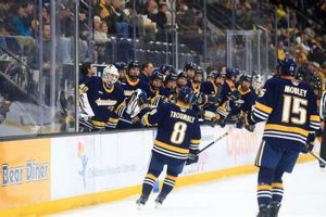 Augustana Vikings Hockey: Sioux Falls' Premier Team! | Your Ultimate Source for Hockey Updates, Training Guides, and Equipment Recommendations