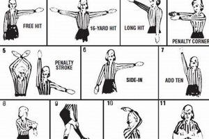 Mastering Field Hockey Referee Signals: A Guide | Your Ultimate Source for Hockey Updates, Training Guides, and Equipment Recommendations