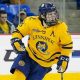 The Alex Whelan Hockey Guide: Skills & Pro Tips | Your Ultimate Source for Hockey Updates, Training Guides, and Equipment Recommendations