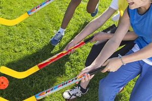 Best Kids Hockey Stick: Size, Flex & Buying Guide | Your Ultimate Source for Hockey Updates, Training Guides, and Equipment Recommendations