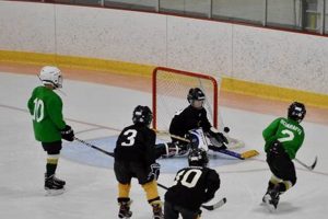 Arlington Hockey: Your Guide to Arlington, VA Ice Hockey Your Ultimate Source for Hockey Updates, Training Guides, and Equipment Recommendations Arlington Hockey: Your Guide to Arlington, VA Ice Hockey | Your Ultimate Source for Hockey Updates, Training Guides, and Equipment Recommendations