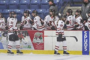 What is Spuds Hockey? Ice Hockey For Farmers Your Ultimate Source for Hockey Updates, Training Guides, and Equipment Recommendations What is Spuds Hockey? Ice Hockey For Farmers | Your Ultimate Source for Hockey Updates, Training Guides, and Equipment Recommendations