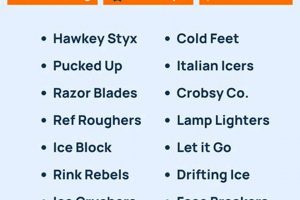 Cool Hockey Team Names Ideas: [League Name] Edition | Your Ultimate Source for Hockey Updates, Training Guides, and Equipment Recommendations