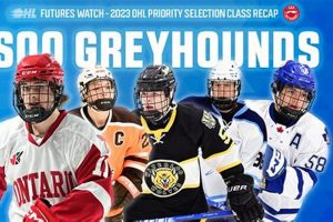 Youth Futures Hockey: Build Skills, Love the Game! | Your Ultimate Source for Hockey Updates, Training Guides, and Equipment Recommendations