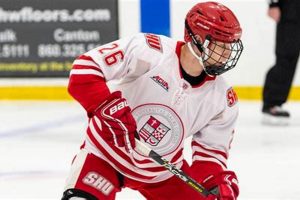 Sacred Heart Club Hockey: Your Guide & More! | Your Ultimate Source for Hockey Updates, Training Guides, and Equipment Recommendations