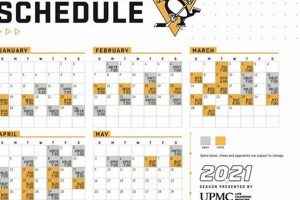 Pitt Hockey: University of Pittsburgh Schedule & Scores | Your Ultimate Source for Hockey Updates, Training Guides, and Equipment Recommendations