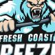 What is Fresh Coast Freeze Hockey? Local Ice Showdown! | Your Ultimate Source for Hockey Updates, Training Guides, and Equipment Recommendations
