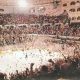 Louisiana Ice Hockey: The Puck Drops on Growth! | Your Ultimate Source for Hockey Updates, Training Guides, and Equipment Recommendations