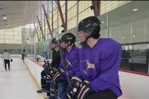 Guide to Northern California Youth Hockey Programs | Your Ultimate Source for Hockey Updates, Training Guides, and Equipment Recommendations