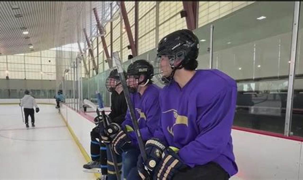 Guide to Northern California Youth Hockey Programs | Your Ultimate Source for Hockey Updates, Training Guides, and Equipment Recommendations