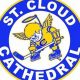 St. Cloud Cathedral Boys Hockey: Tradition &amp; Triumph | Your Ultimate Source for Hockey Updates, Training Guides, and Equipment Recommendations