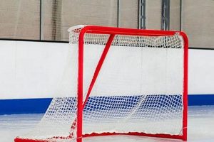 Net 54 Hockey Cards: Buy, Sell & Trade Forum | Your Ultimate Source for Hockey Updates, Training Guides, and Equipment Recommendations