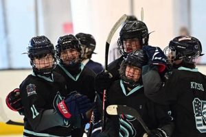 TCS Hockey: Skills, Teams &amp; More! | Your Ultimate Source for Hockey Updates, Training Guides, and Equipment Recommendations