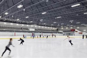 Your Local Hockey Outlet Ice Complex: Skating & More! | Your Ultimate Source for Hockey Updates, Training Guides, and Equipment Recommendations