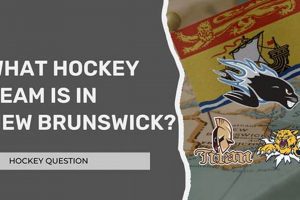 UNB Hockey: Varsity Reds - Your Guide | Your Ultimate Source for Hockey Updates, Training Guides, and Equipment Recommendations