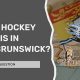 UNB Hockey: Varsity Reds - Your Guide | Your Ultimate Source for Hockey Updates, Training Guides, and Equipment Recommendations