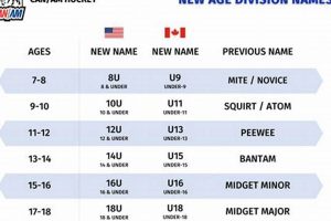 Can Am Hockey Tournament Results: [Year] Tourney Recap | Your Ultimate Source for Hockey Updates, Training Guides, and Equipment Recommendations