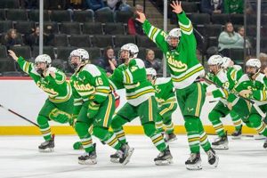 Top Edina Hockey Bag Picks: Gear Up for the Ice! | Your Ultimate Source for Hockey Updates, Training Guides, and Equipment Recommendations