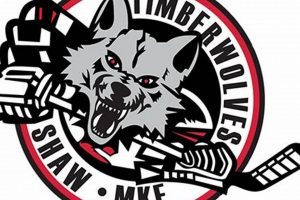 Discover Shaw Youth Hockey: Programs & Skill | Your Ultimate Source for Hockey Updates, Training Guides, and Equipment Recommendations