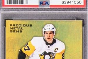 Top Tier: Most Expensive Hockey Cards to Collect Now | Your Ultimate Source for Hockey Updates, Training Guides, and Equipment Recommendations