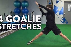Best Hockey Goalie Exercises: Training for Success! Your Ultimate Source for Hockey Updates, Training Guides, and Equipment Recommendations Best Hockey Goalie Exercises: Training for Success! | Your Ultimate Source for Hockey Updates, Training Guides, and Equipment Recommendations