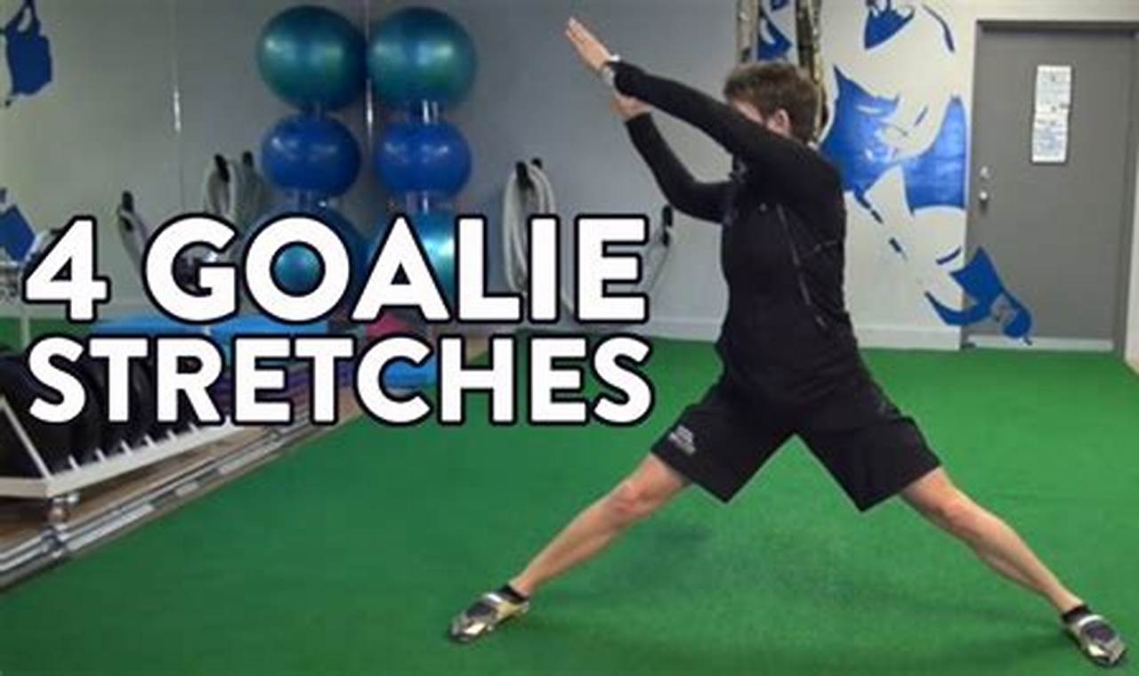 Best Hockey Goalie Exercises: Training for Success! Your Ultimate Source for Hockey Updates, Training Guides, and Equipment Recommendations Best Hockey Goalie Exercises: Training for Success! | Your Ultimate Source for Hockey Updates, Training Guides, and Equipment Recommendations