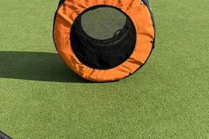 Top Field Hockey Training Aids: Boost Your Game Today! Your Ultimate Source for Hockey Updates, Training Guides, and Equipment Recommendations Top Field Hockey Training Aids: Boost Your Game Today! | Your Ultimate Source for Hockey Updates, Training Guides, and Equipment Recommendations