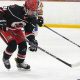 Your Guide to Section 1 Ice Hockey: Teams &amp; Schedules | Your Ultimate Source for Hockey Updates, Training Guides, and Equipment Recommendations