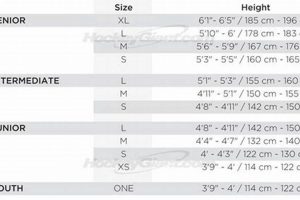 Goalie's Guide: Hockey Chest Protector Sizing Tips! | Your Ultimate Source for Hockey Updates, Training Guides, and Equipment Recommendations