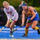 Your Guide: University of New Haven Field Hockey Program | Your Ultimate Source for Hockey Updates, Training Guides, and Equipment Recommendations