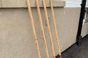 Whippy Hockey Stick: Flex Your Game, Dominate Ice | Your Ultimate Source for Hockey Updates, Training Guides, and Equipment Recommendations