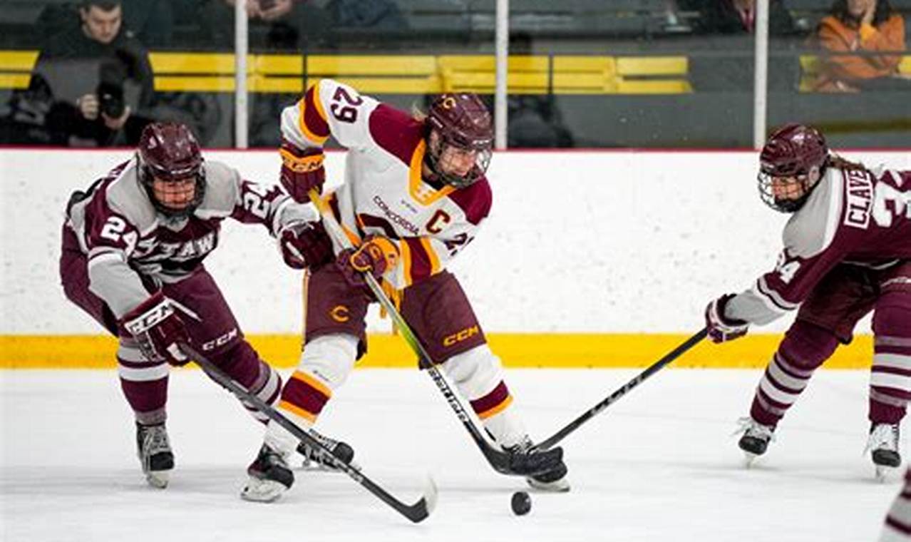 Essential Stingers Hockey Guide: Dominate the Ice! Your Ultimate Source for Hockey Updates, Training Guides, and Equipment Recommendations Essential Stingers Hockey Guide: Dominate the Ice! | Your Ultimate Source for Hockey Updates, Training Guides, and Equipment Recommendations