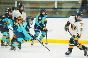Wayzata Hockey Roster: Players &amp; Team List 2024 | Your Ultimate Source for Hockey Updates, Training Guides, and Equipment Recommendations