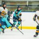 Wayzata Hockey Roster: Players &amp; Team List 2024 | Your Ultimate Source for Hockey Updates, Training Guides, and Equipment Recommendations