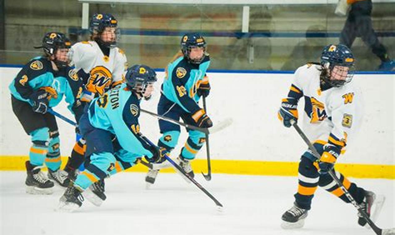 Wayzata Hockey Roster: Players & Team List 2024 Your Ultimate Source for Hockey Updates, Training Guides, and Equipment Recommendations Wayzata Hockey Roster: Players & Team List 2024 | Your Ultimate Source for Hockey Updates, Training Guides, and Equipment Recommendations