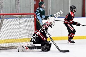 Elite Travel Ice Hockey: Teams, Costs & Benefits Your Ultimate Source for Hockey Updates, Training Guides, and Equipment Recommendations Elite Travel Ice Hockey: Teams, Costs & Benefits | Your Ultimate Source for Hockey Updates, Training Guides, and Equipment Recommendations