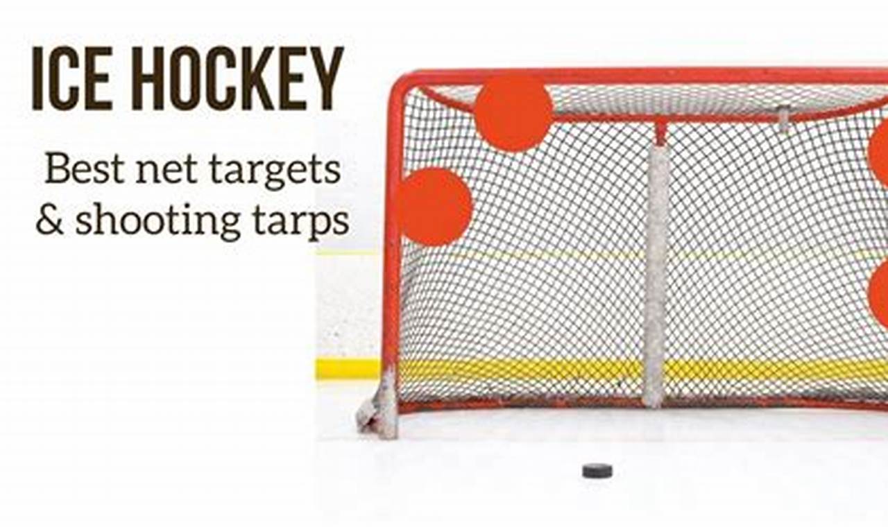 Hockey Net Targets: Train Like a Pro! | Your Ultimate Source for Hockey Updates, Training Guides, and Equipment Recommendations