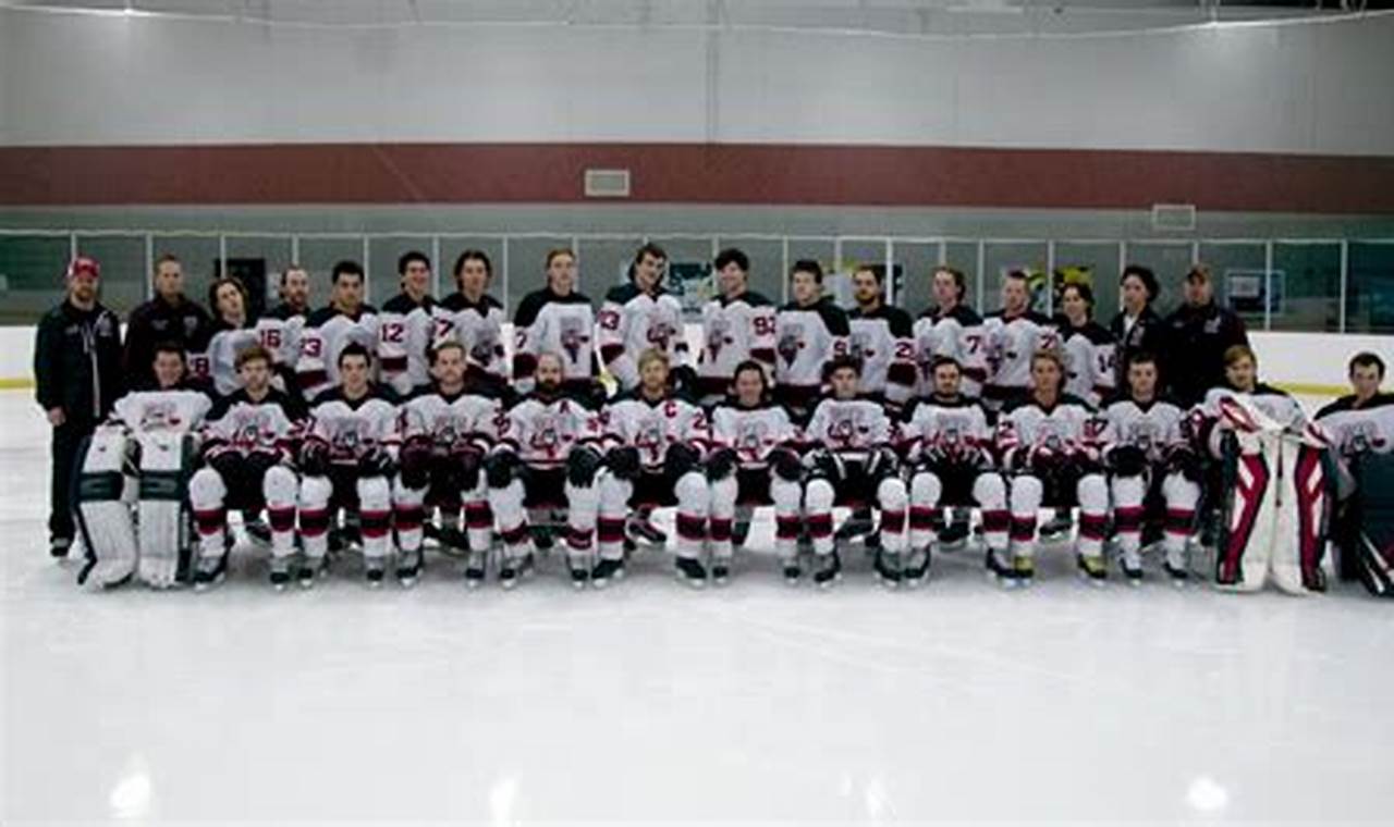 Guide to Lewis University Hockey | Team &amp; More! | Your Ultimate Source for Hockey Updates, Training Guides, and Equipment Recommendations