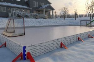 Buy a Hockey Rink: Ice Hockey Rinks For Sale Near You | Your Ultimate Source for Hockey Updates, Training Guides, and Equipment Recommendations