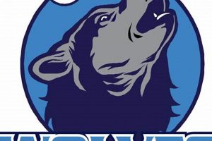 NJ Jersey Wolves Hockey: Youth Ice Action! | Your Ultimate Source for Hockey Updates, Training Guides, and Equipment Recommendations