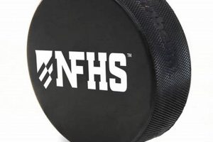 Best Cases for Hockey Pucks: Protect Your Game! | Your Ultimate Source for Hockey Updates, Training Guides, and Equipment Recommendations